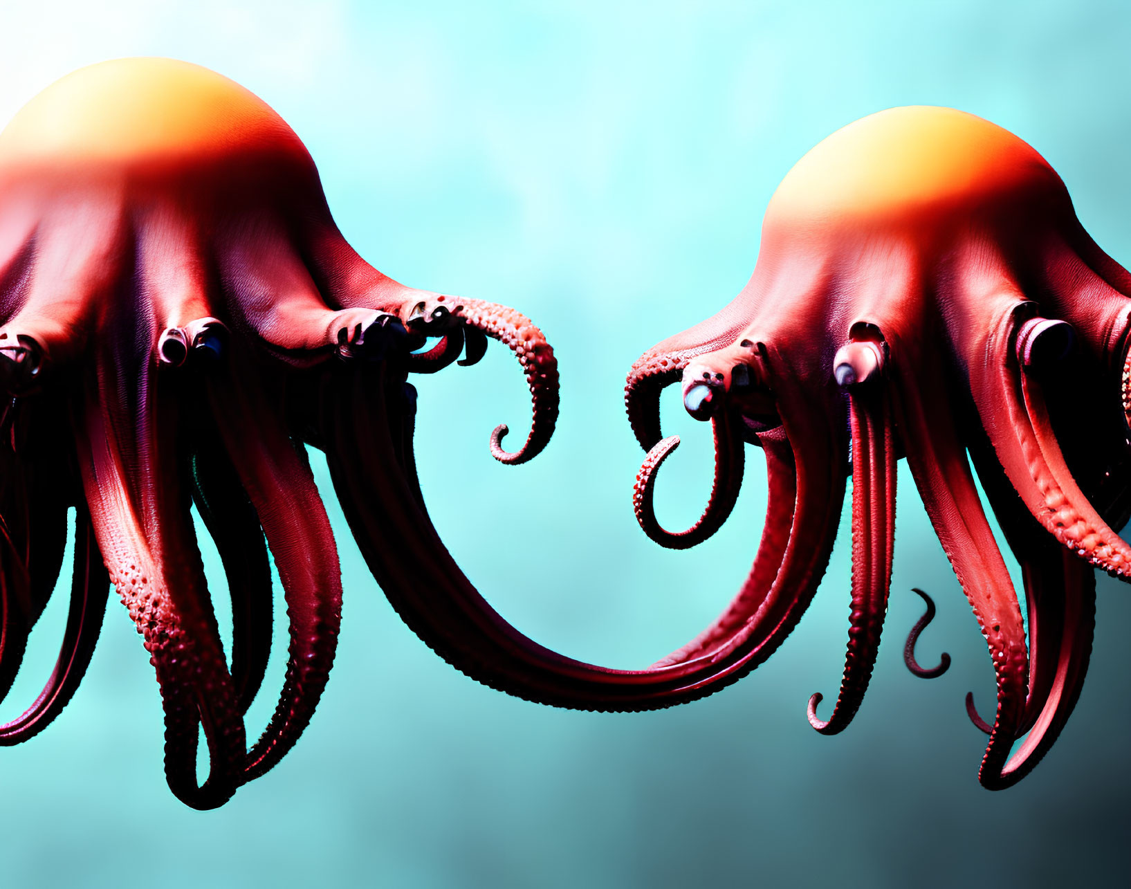 Vibrant red-orange octopuses on teal gradient background