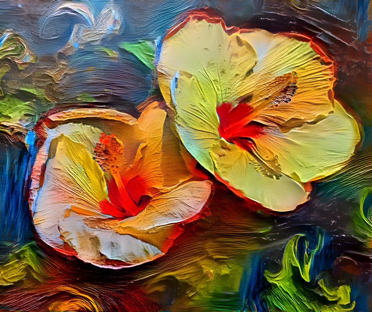 Hibiscus Glow 