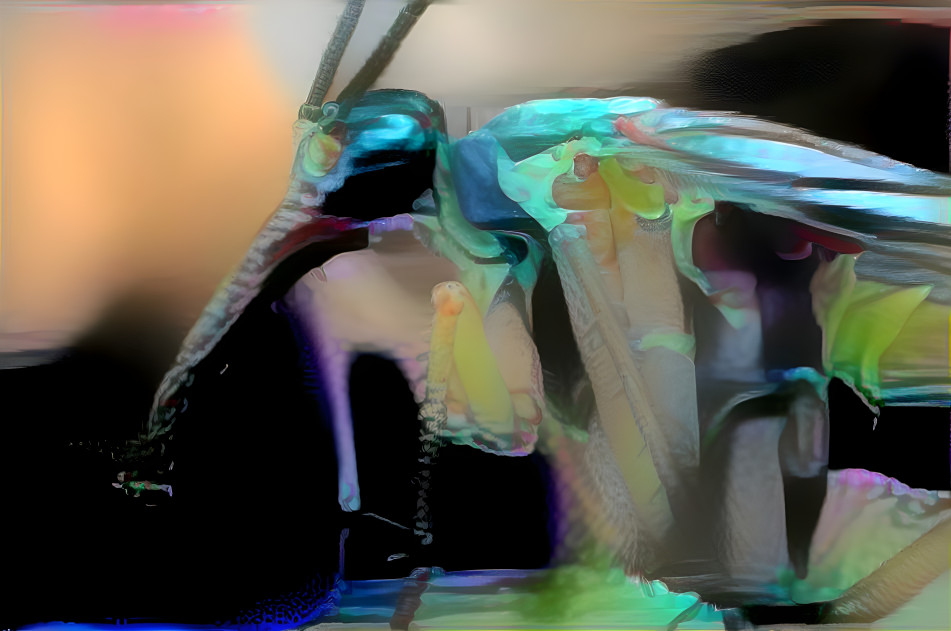 Scorpion fly Abstract 