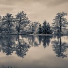 Ghostly figure in white by misty water in eerie forest landscape