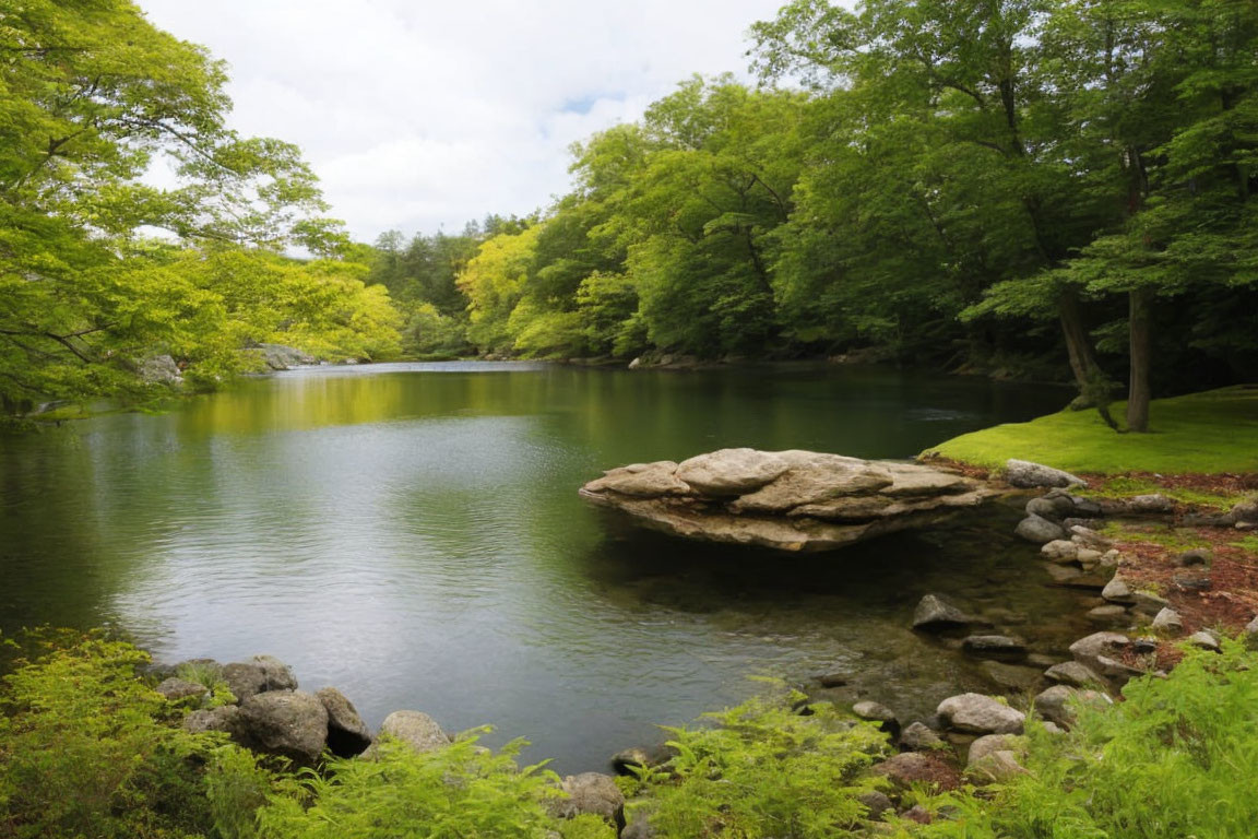 Tranquil lake scene with lush trees and flat rock shore