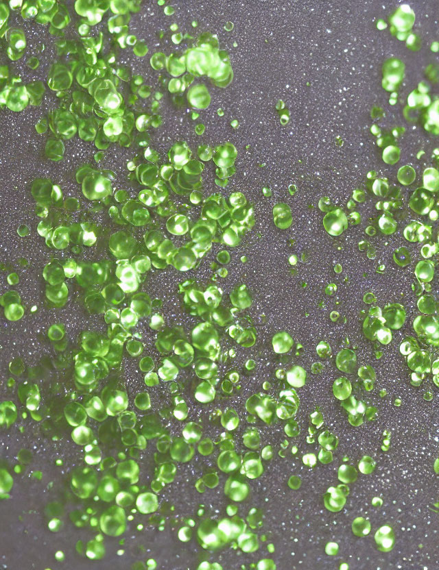 Translucent Green Beads on Sparkly Grey Surface