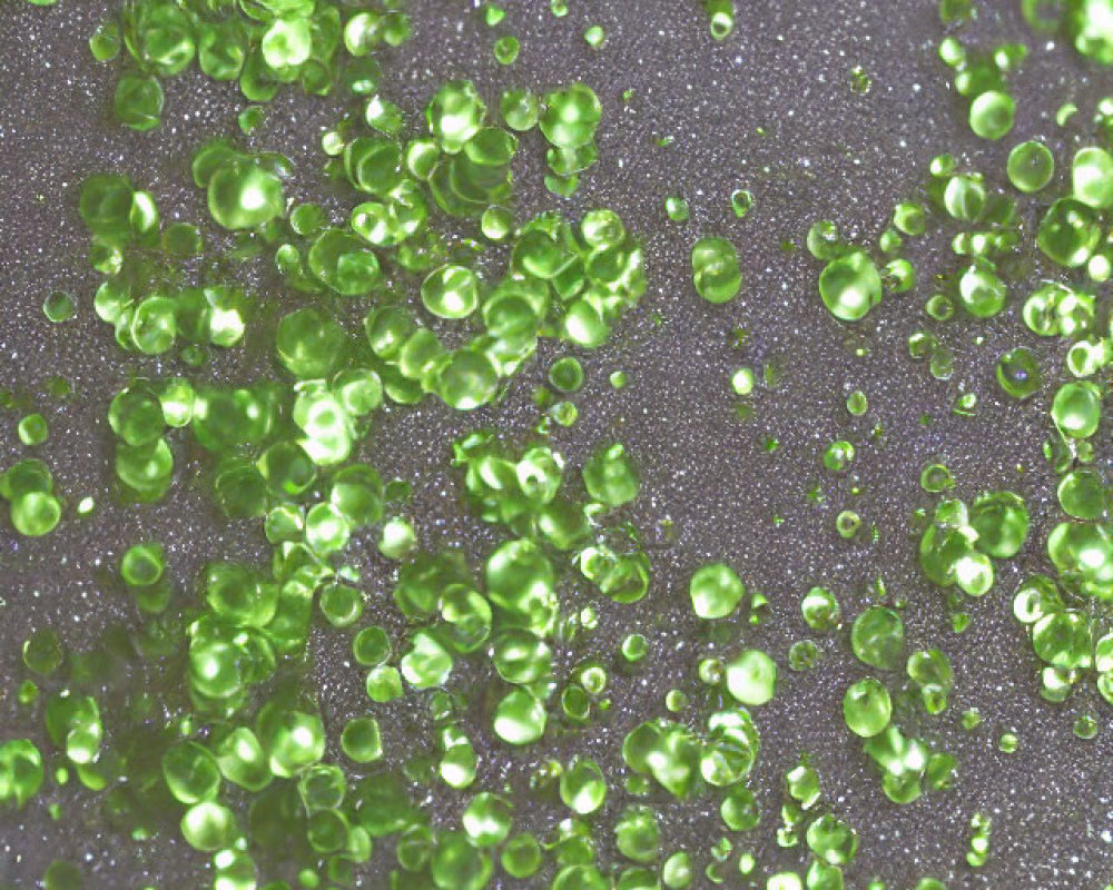 Translucent Green Beads on Sparkly Grey Surface