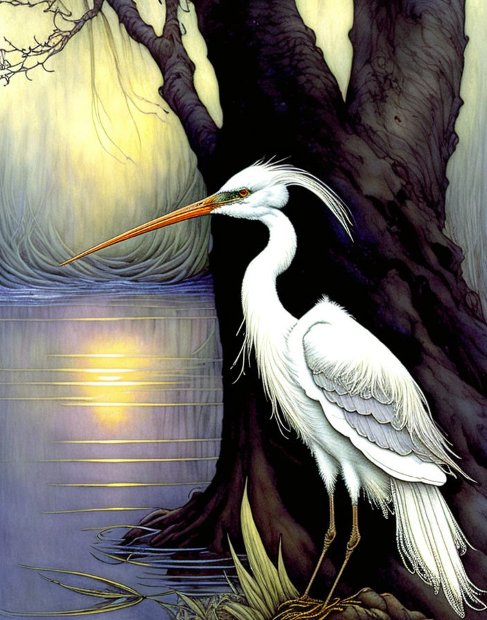 White Heron Standing by Tree at Water's Edge During Serene Sunset