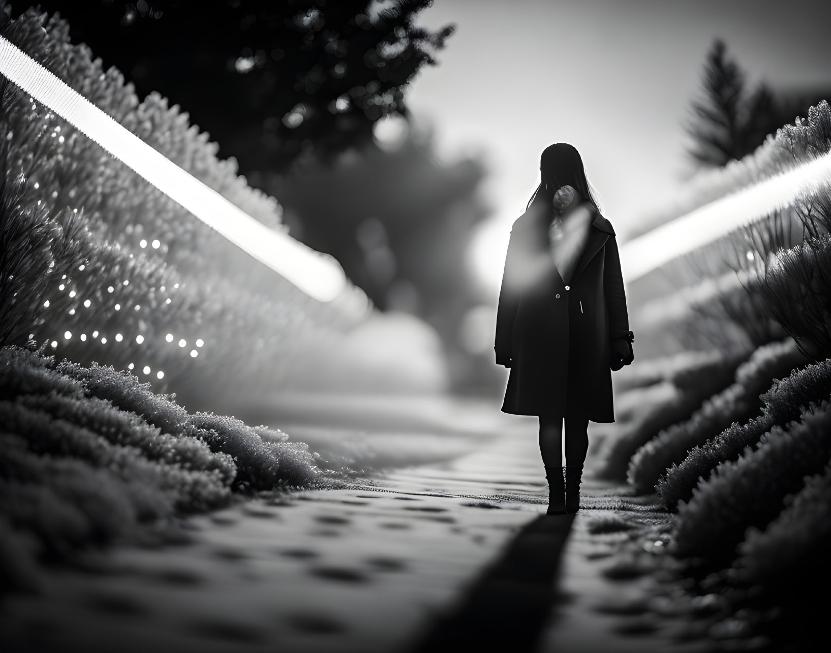 Monochrome image of person on illuminated pathway