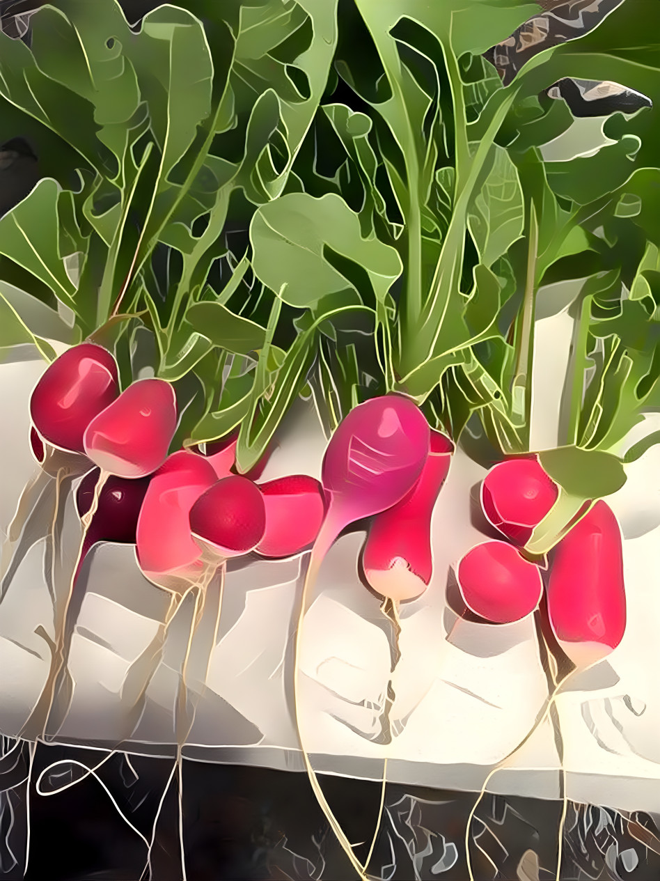 Radishes