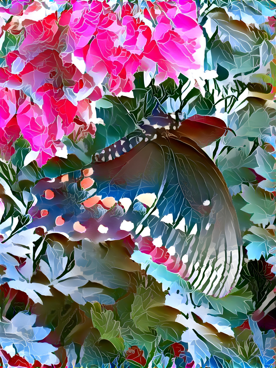 Butterfly on Bleeding Heart