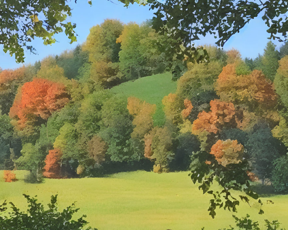 Autumn landscape: Cow grazing in tranquil pasture with colorful trees under clear sky