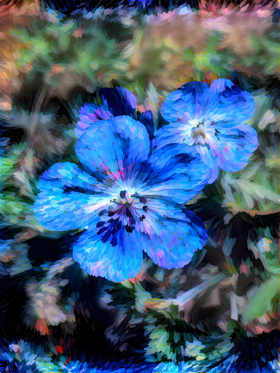 Blue Flowers