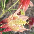 Assorted flowers in soft colors with a prominent yellow bloom