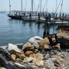 Digital illustration: Person on rocky pier, sailboats at wooden dock