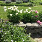 Vibrant garden path with lush flowers and greenery under sunlight