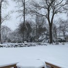 Snow-covered houses and colorful trees in a whimsical winter scene