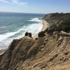 Tranquil coastal scene with wildflowers, crashing waves, rocky shore, and blue sky.