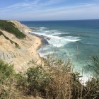 Scenic coastal painting: white cliffs, flowers, sea waves, sailboats