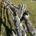 Colorful painting of rustic wooden fence in meadow