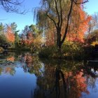 Tranquil autumn lake with vibrant foliage and clear blue sky