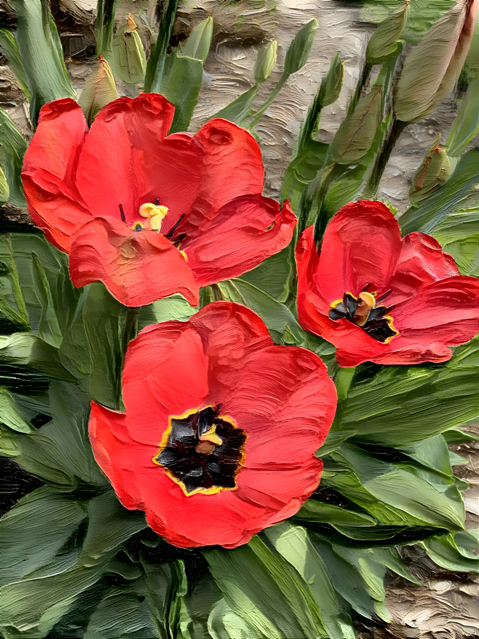 Tulips