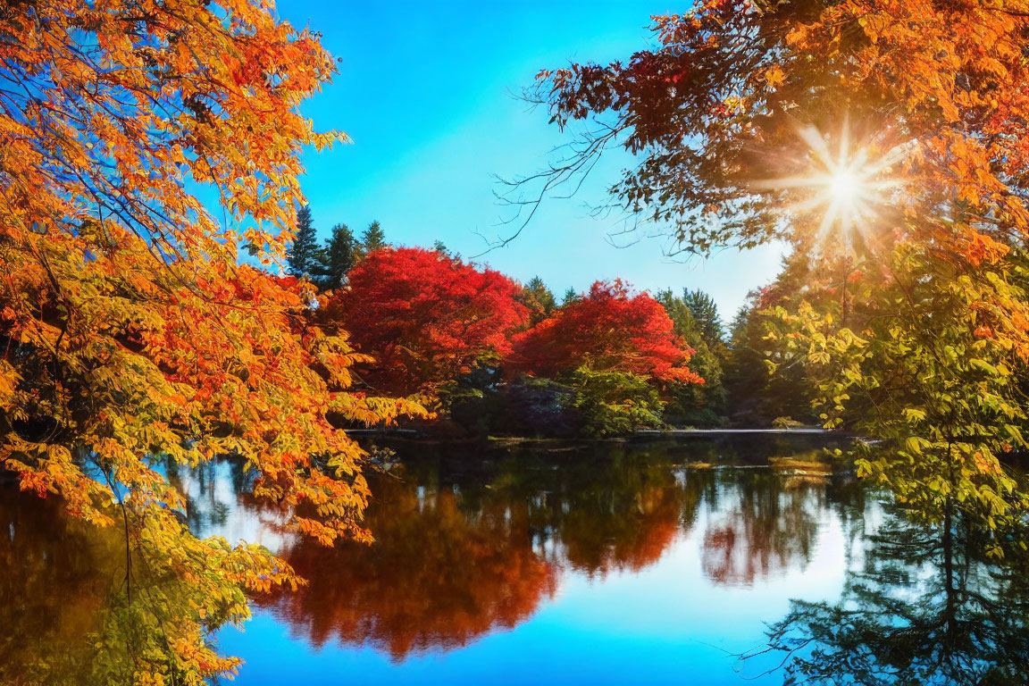 Vibrant Autumn Scene: Orange and Red Leaves, Calm Lake, Sunburst