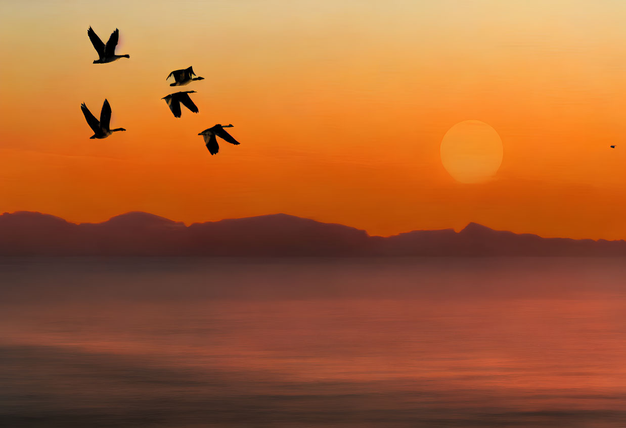 Tranquil sunset scene with orange hues, birds in silhouette above calm sea