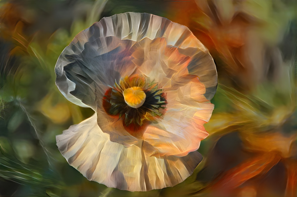 Poppy Flower