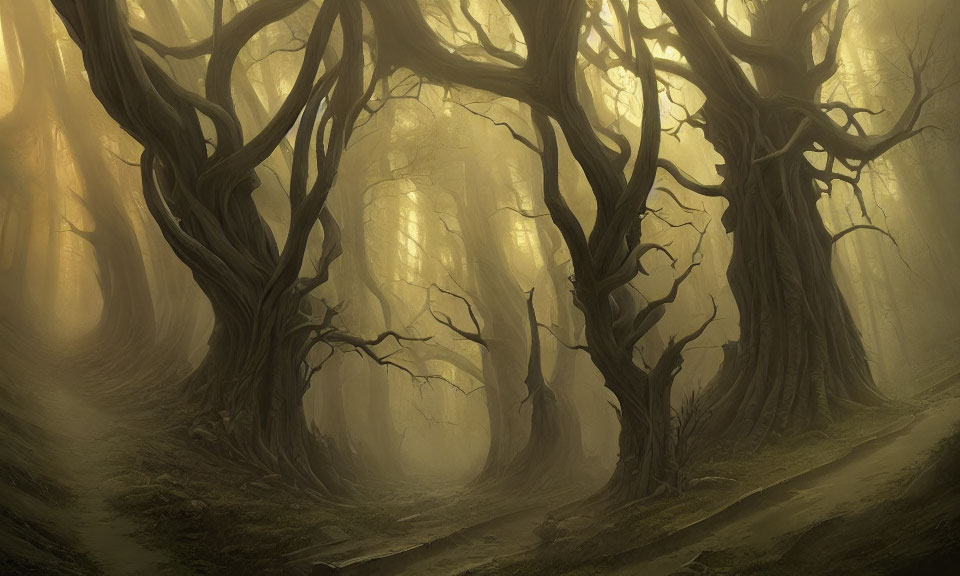 Enigmatic forest with towering, gnarled trees in golden fog