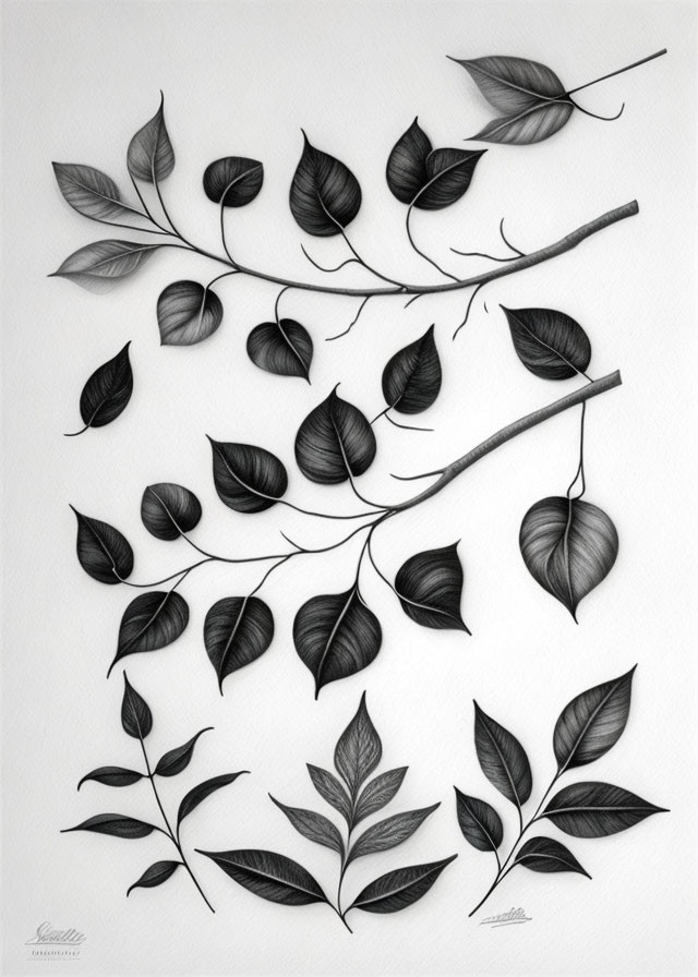 Monochromatic stylized leaves and branches on textured white background