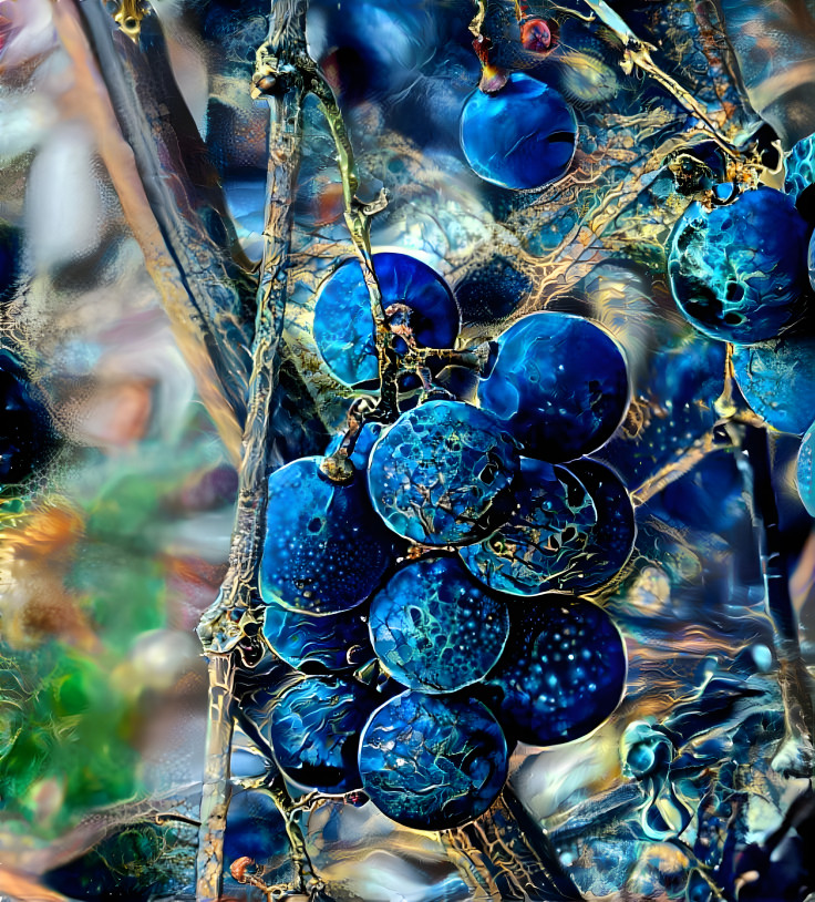 Blue grapes