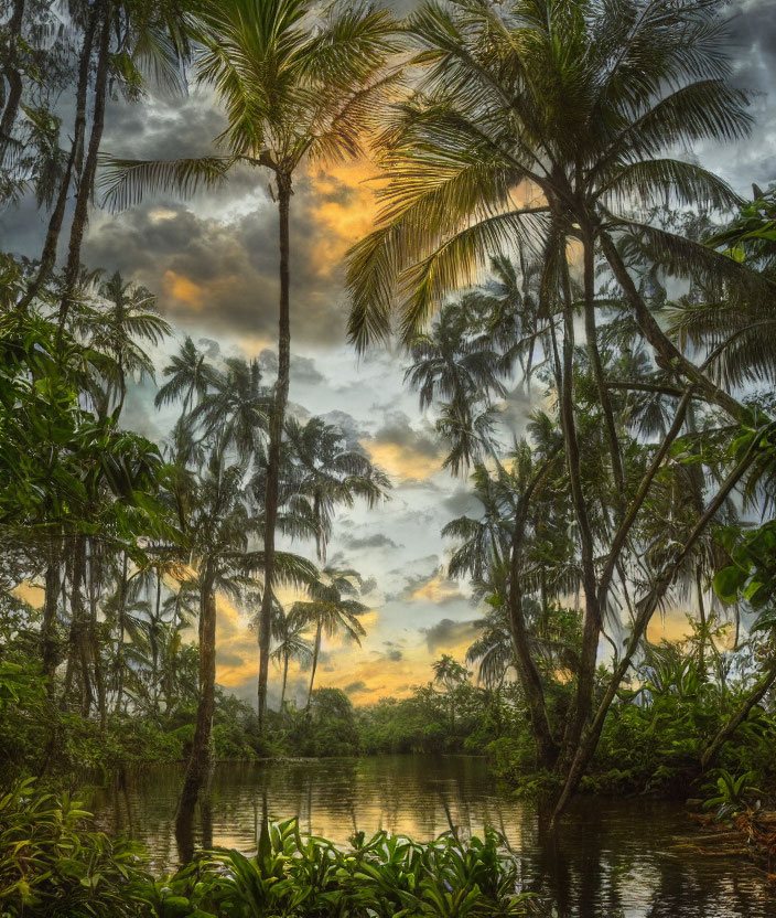 Tranquil Tropical River Sunset with Palm Trees