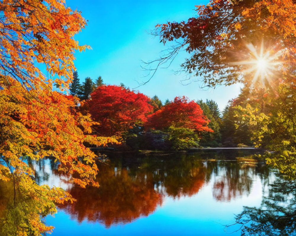 Vibrant Autumn Scene: Orange and Red Leaves, Calm Lake, Sunburst