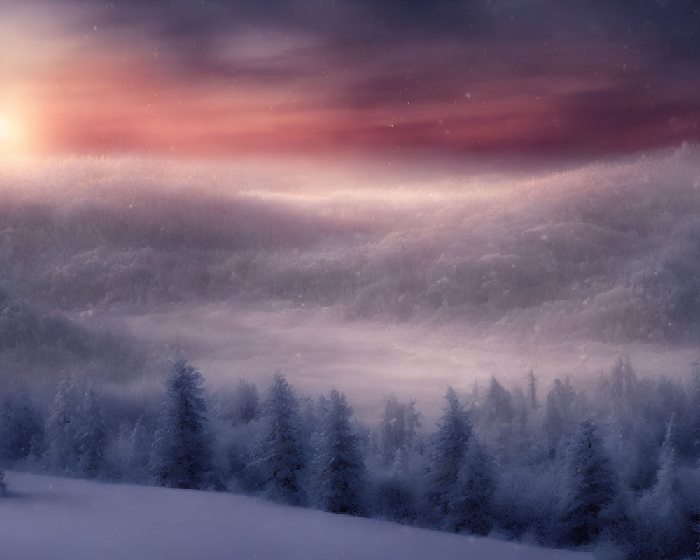 Snow-covered trees in serene winter dusk with glowing sunset and purple-red clouds