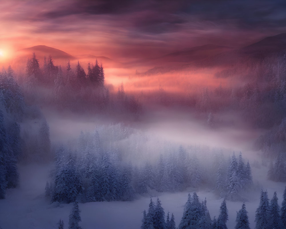 Snow-covered trees in tranquil winter scene with fog and warm sunrise.