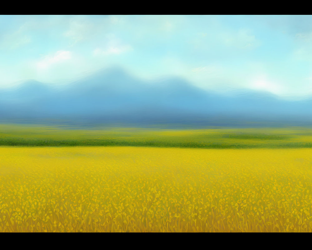 Scenic yellow flower field with misty blue mountains