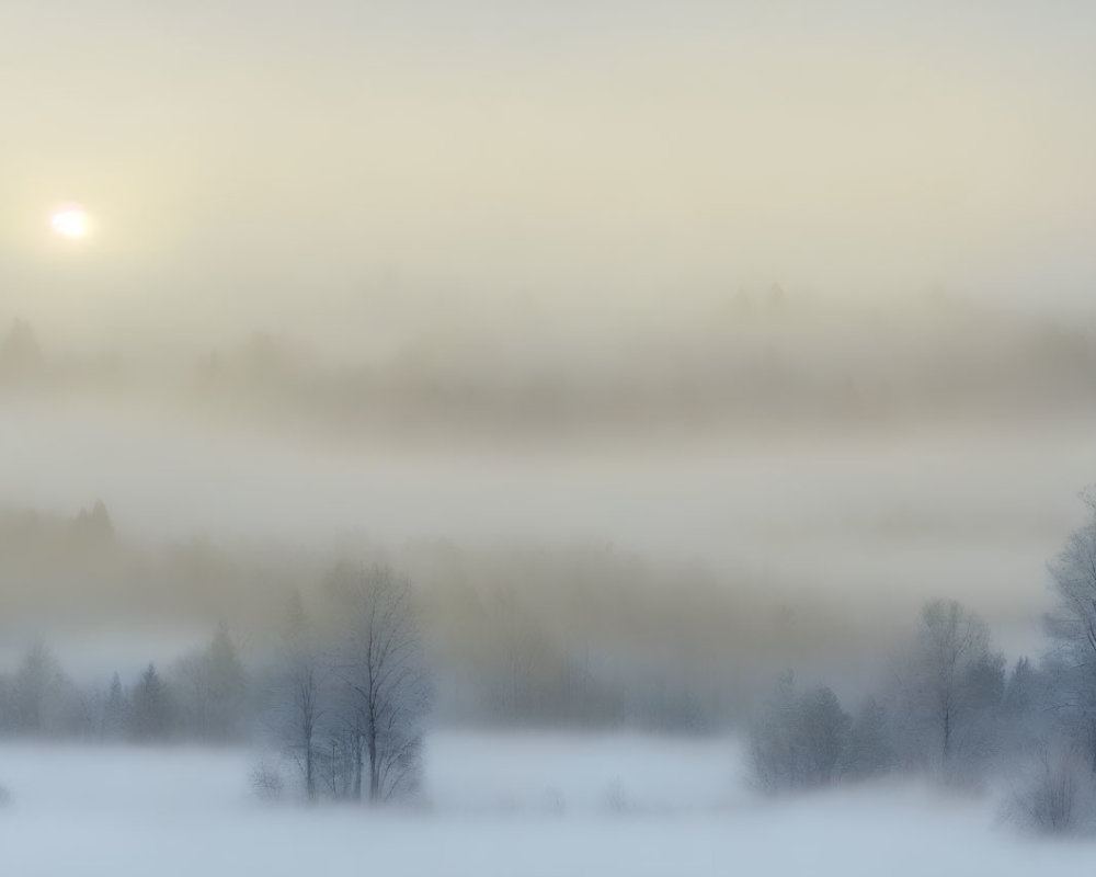 Snow-covered forest at sunrise with fog layers in serene winter landscape