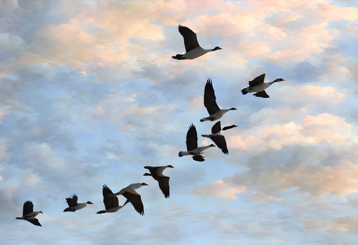 Geese flying in V-formation over pastel sky at dusk or dawn