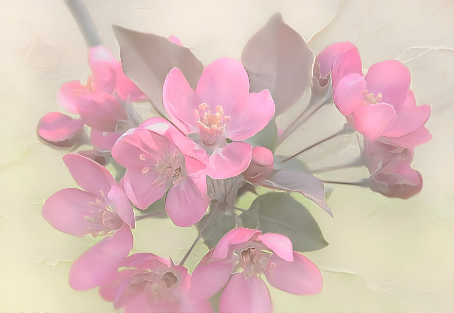 Pink Blossoms - v5