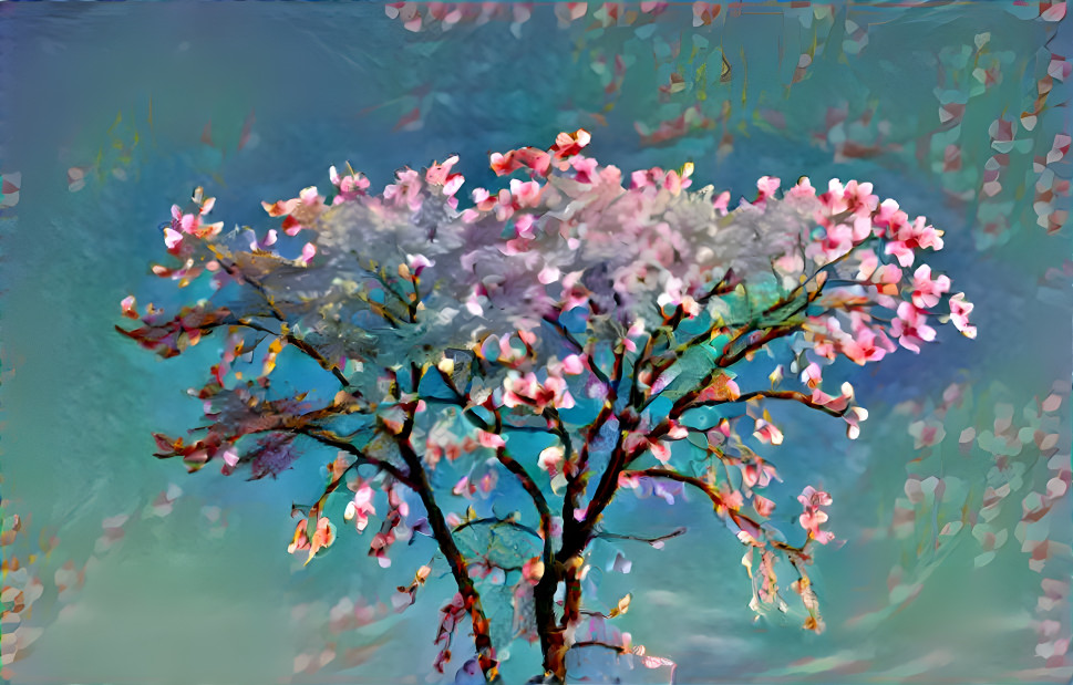 Spring blossoms