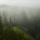 Serene misty landscape with lush green hills and gentle fog