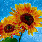 Vibrant sunflowers against a swirled blue background