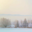 Snow-covered forest at sunrise with fog layers in serene winter landscape