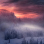 Snow-covered trees in tranquil winter scene with fog and warm sunrise.