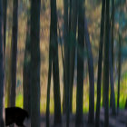 Enchanting forest scene with deer silhouettes and tall trees