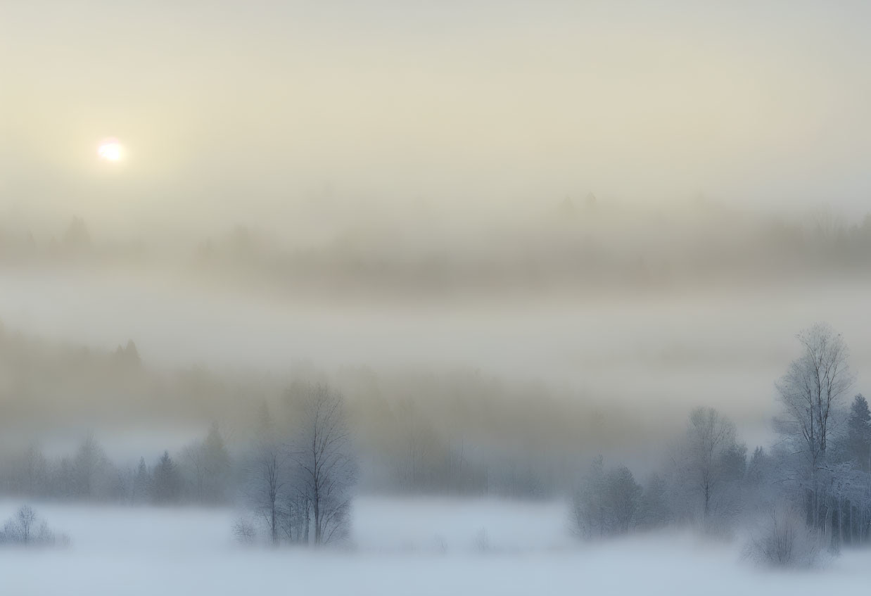 Snow-covered forest at sunrise with fog layers in serene winter landscape