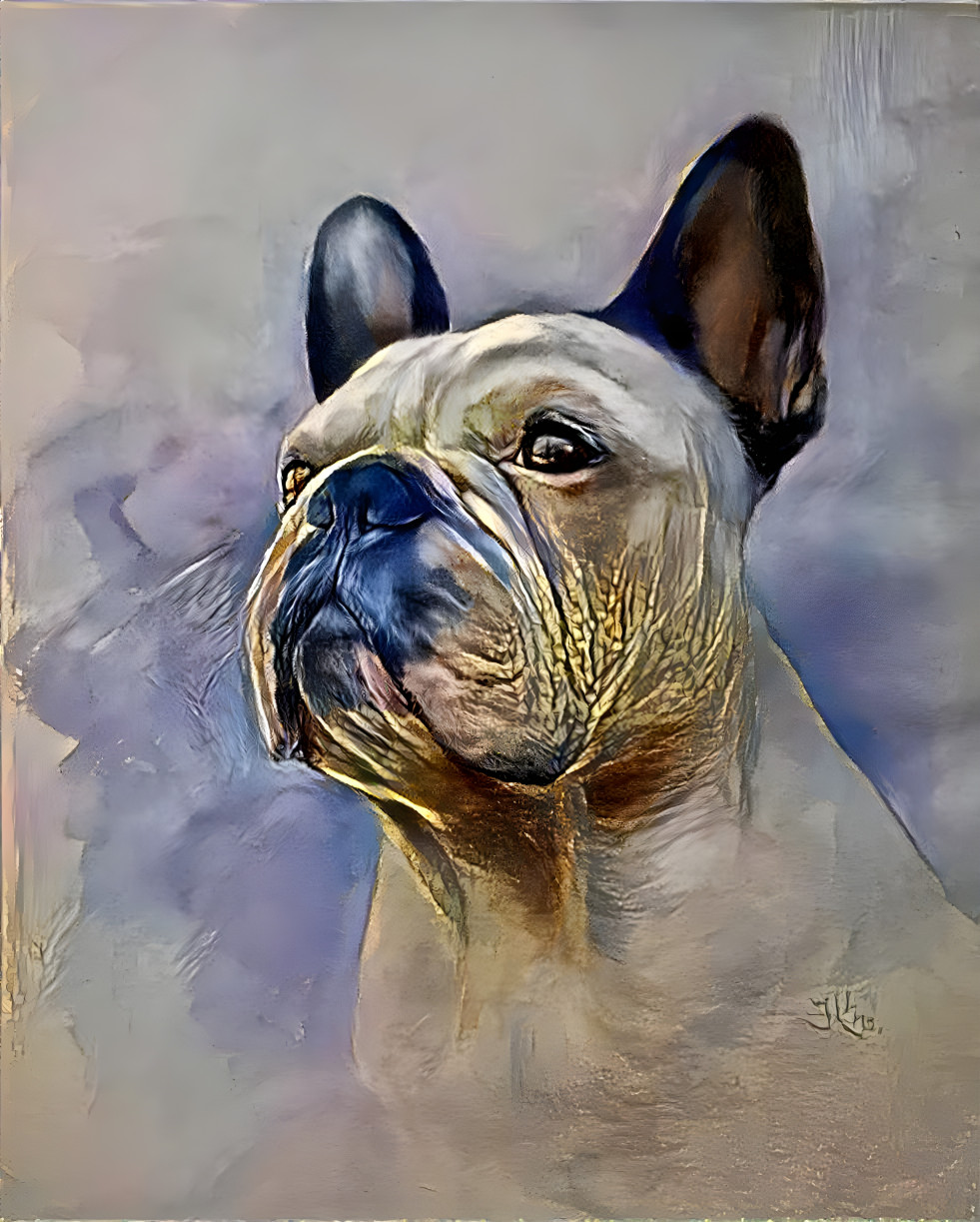 FRENCH BULLDOG 