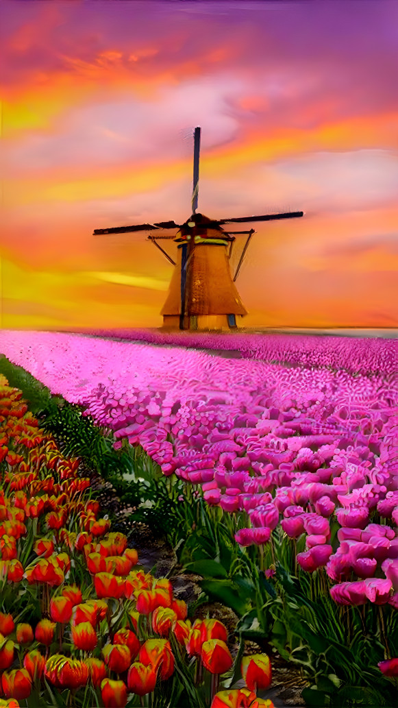 Windmill and tulips