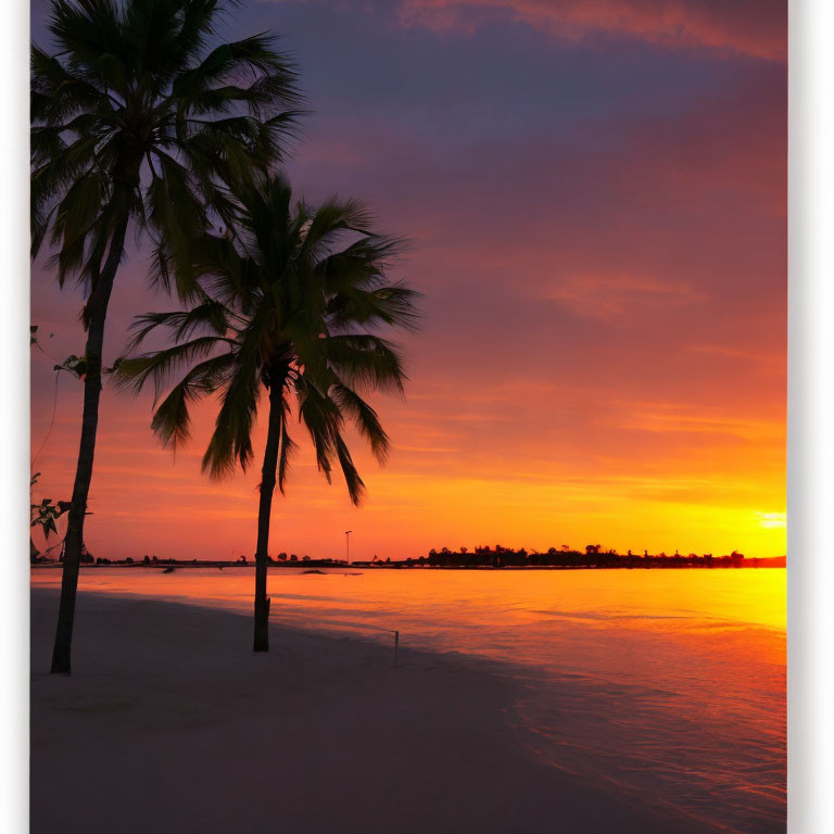 Colorful sunset over calm sea with palm tree silhouettes on sandy beach