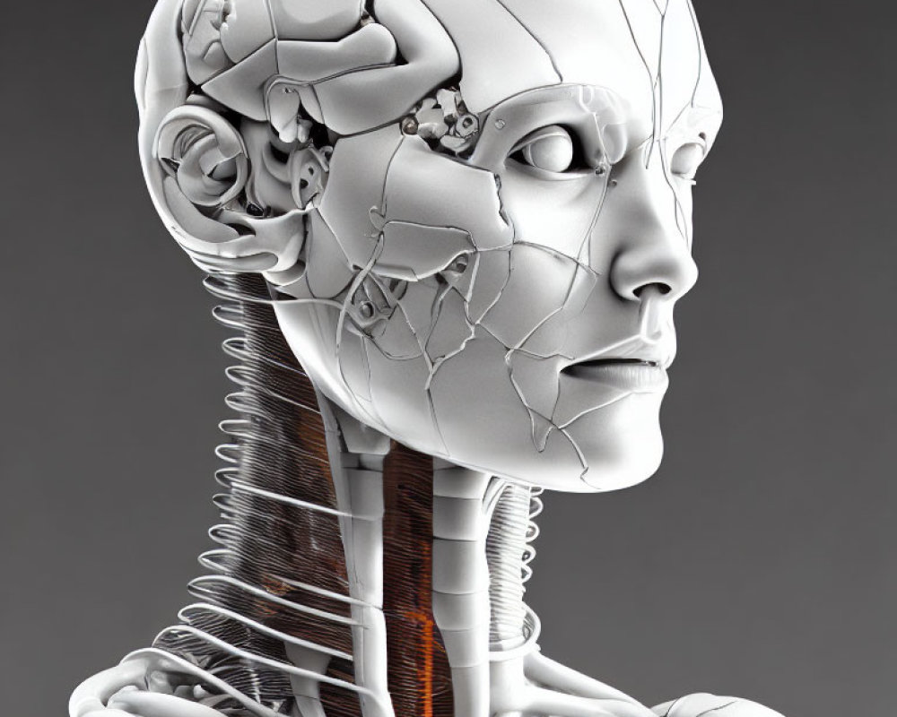 Detailed 3D Illustration of Humanoid Robot with Exposed Brain