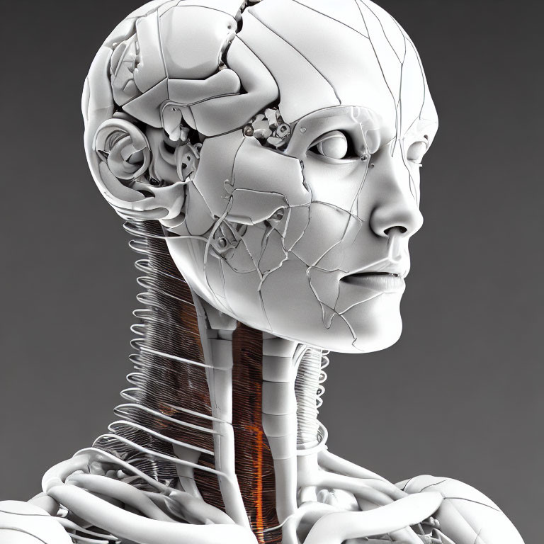 Detailed 3D Illustration of Humanoid Robot with Exposed Brain