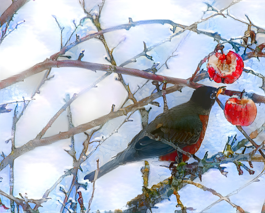 Feathered Friend was grateful last winter