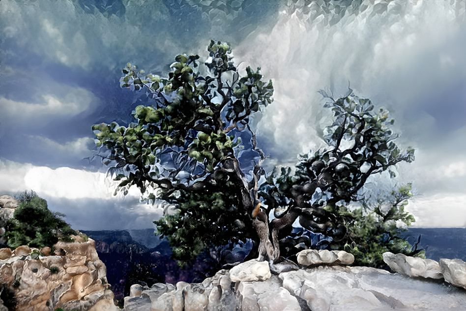 Grand Canyon tree